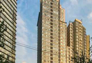 湖州螺丝自动组装机定做