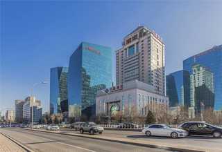 上海同城盆栽菜基地报价