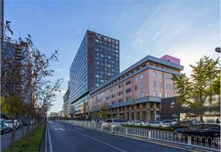 三明绿化人造草皮价格